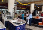 Meat Market - Lagos. Algarve.